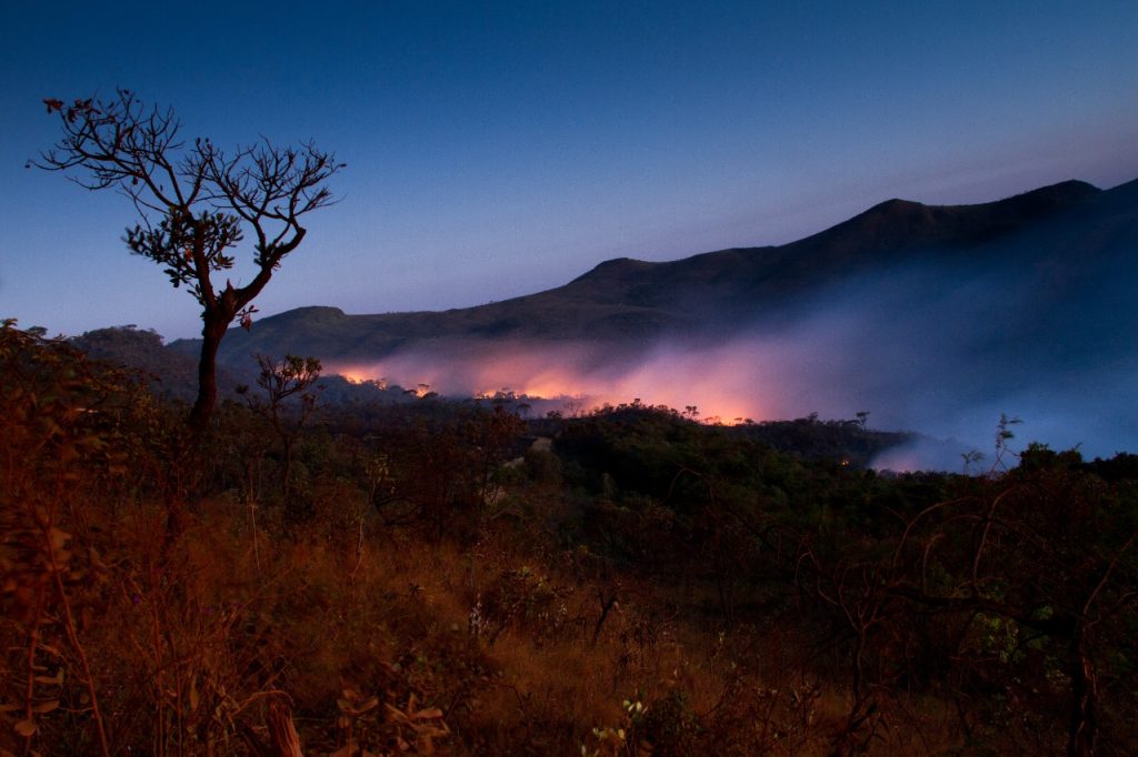  Brasiliansk fotograf bland vinnarna i den internationella tävlingen Wiki Loves Earth